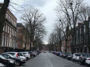 Elmwood Avenue